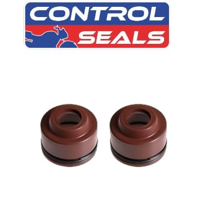 RETEN VALVULA RESORTE DOBLE CBX200 CRF230F CG