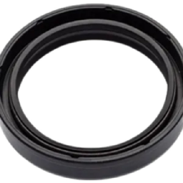 RETEN 43X55X10 SUSPENCION XT660 SUPER TENERE BULLDOG BT1100